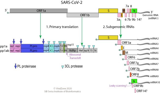 Proteomic & Metabolomic Data Analysis